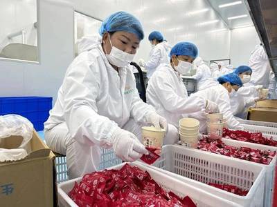 云临品企业 食品简介与园特色农副产品