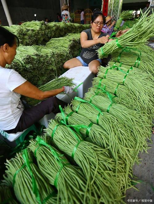 农副产品深加工设备与项目设计规划全解析