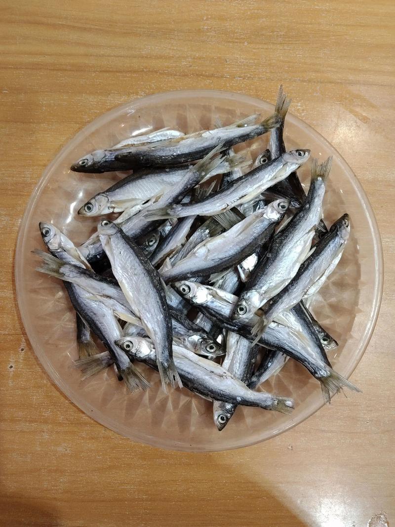 灰蚂蚁农副产品 小蚂蚁撬动大产业，打造绿色健康生活新标杆