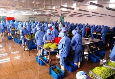 传统制造改造提升 21个县（市、区）分行业省级试点火力全开