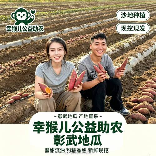 沙地长出“金疙瘩”——彰武县优质农副产品走进人民网纪实