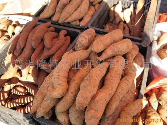 农副产品批发价格指南 红薯淀粉、核桃仁与有机蜂蜜