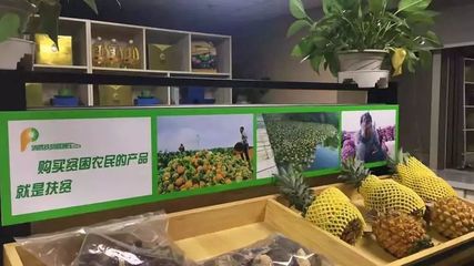 抓住国家名录机遇 贫困地区农副产品供应商的黄金窗口